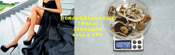 крисы Нея