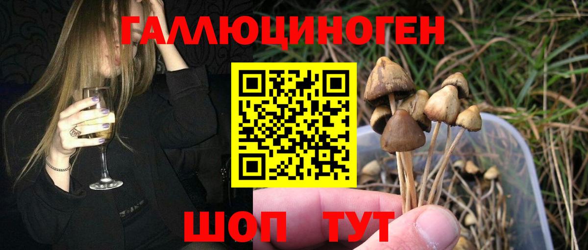 Тюмень  Псилоцибиновые грибы Psilocybine cubensis  Вход с VPN 